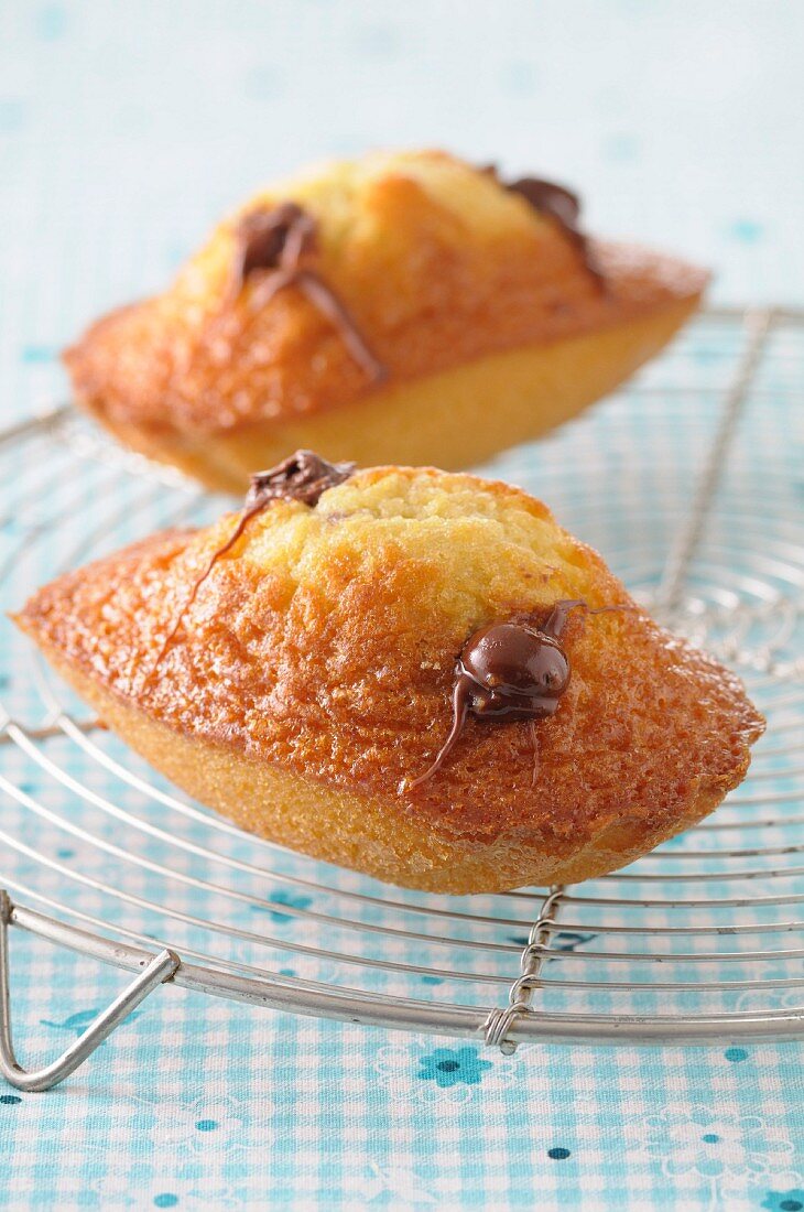 Schoko-Madeleines