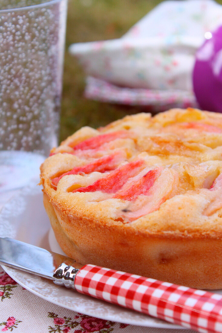 Moelleux a peches plates (Kuchen mit Weinbergpfirsichen, Frankreich)