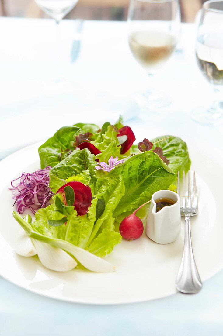 Mixed lettuce, beetroot, radish, fennel and flower salad