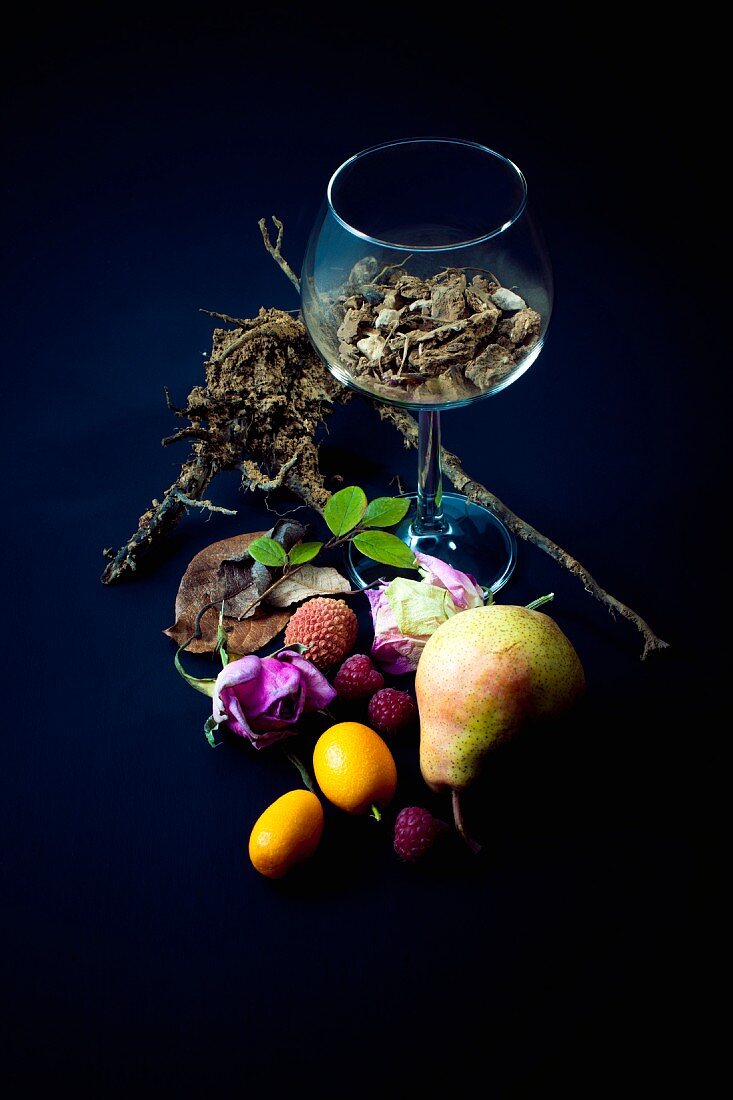 Composition with fruit,rosebuds,roots and earth
