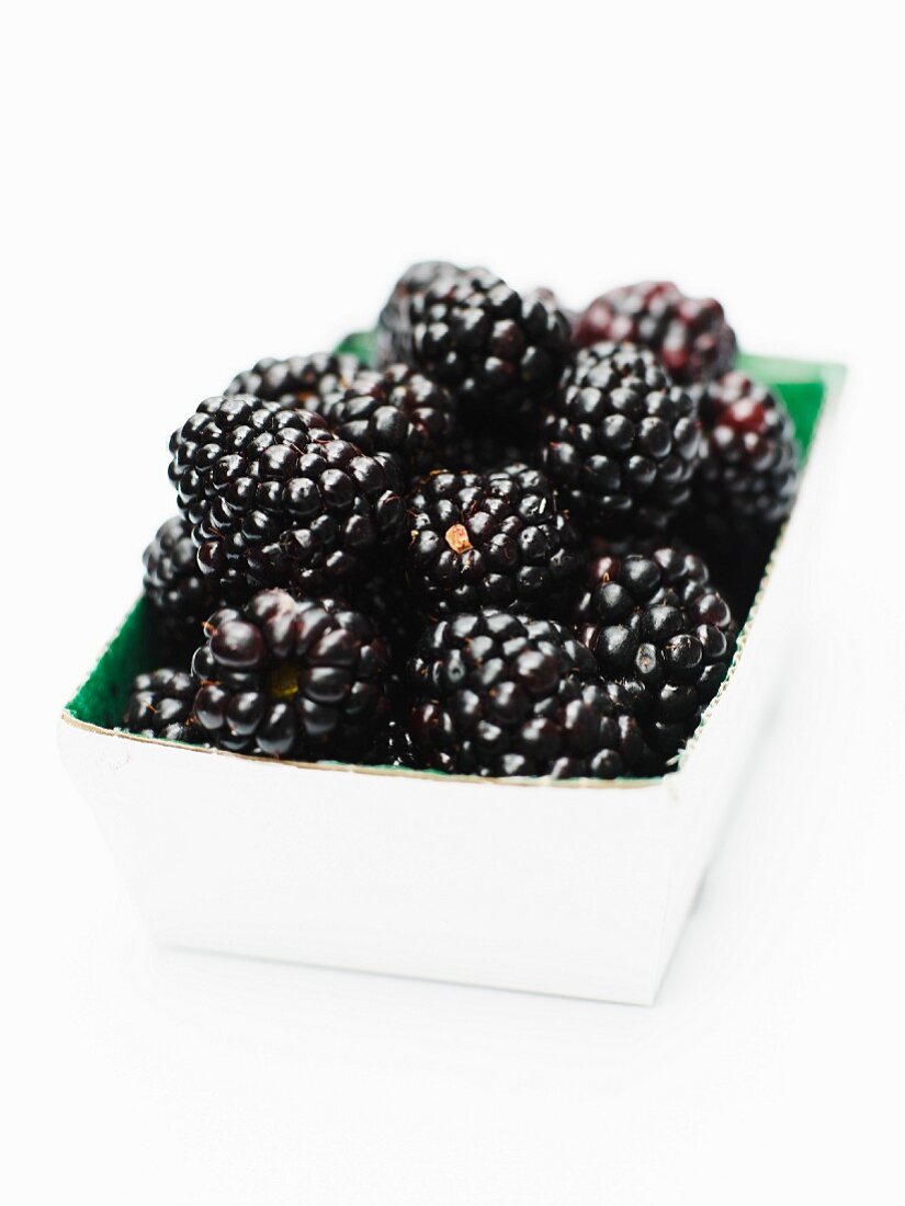 Punnet of blackberries on a white background