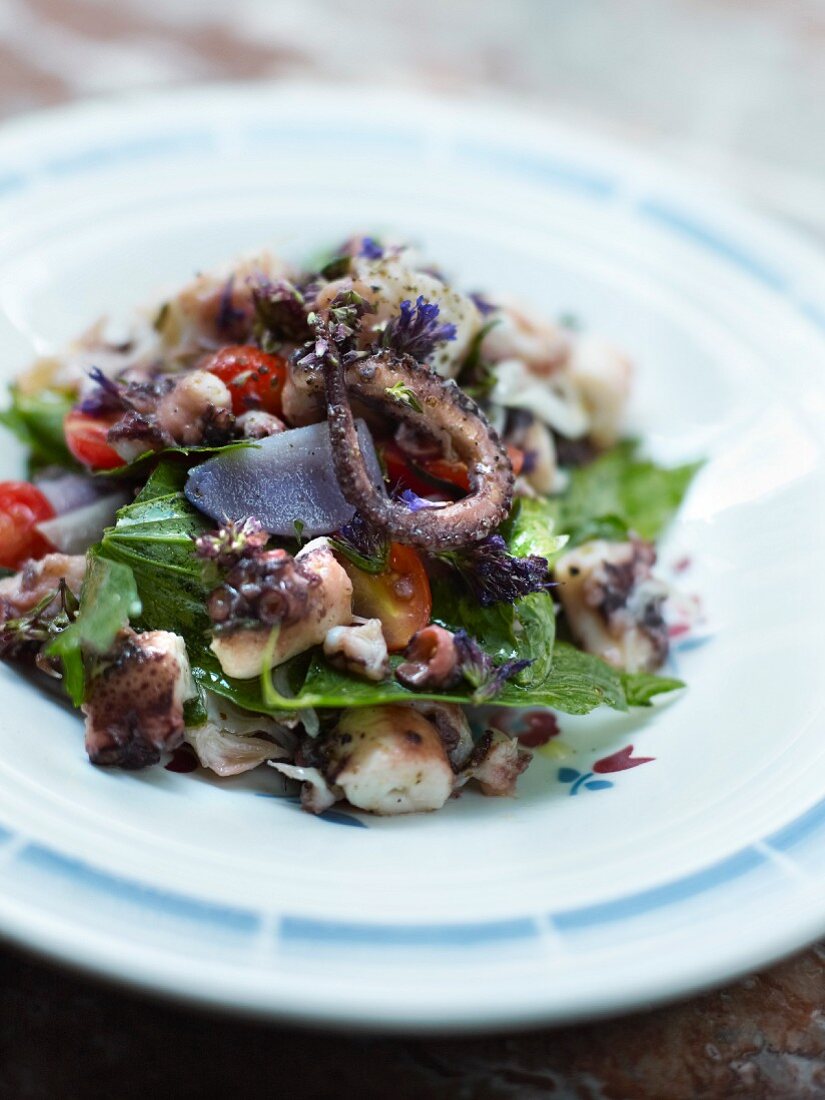 Oktopus-Salat mit Vitelotte-Kartoffeln und Kräutern