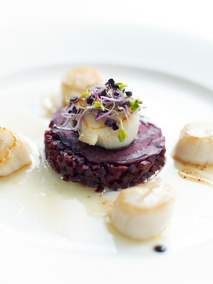 Beetroot tartare with scallops and sprouts