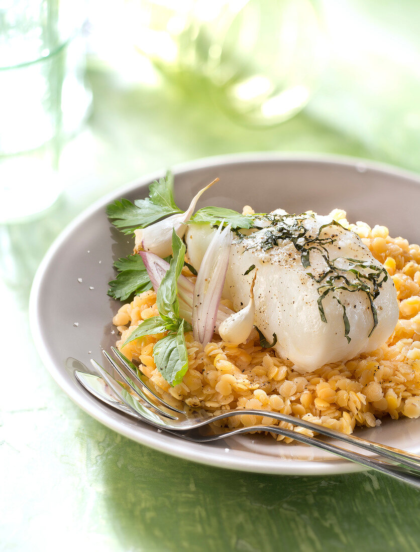 Gebratener Kabeljau mit Knoblauch und Kräutern auf gelben Linsen