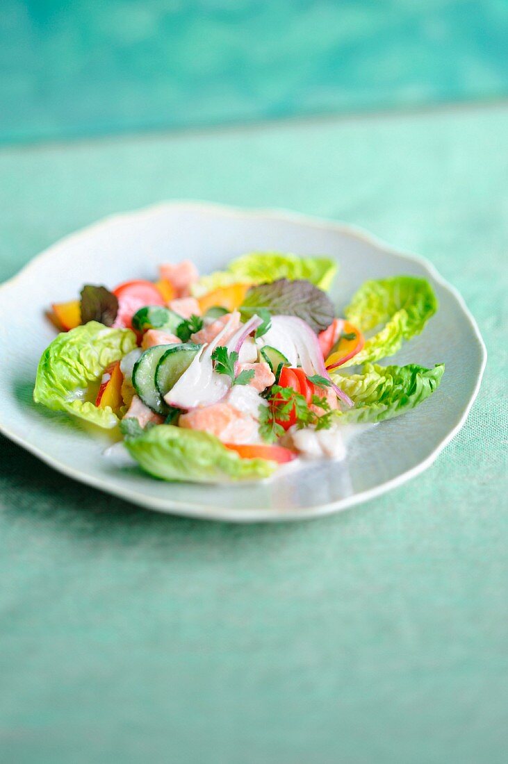 Salmon,nectarine and cucumber salad