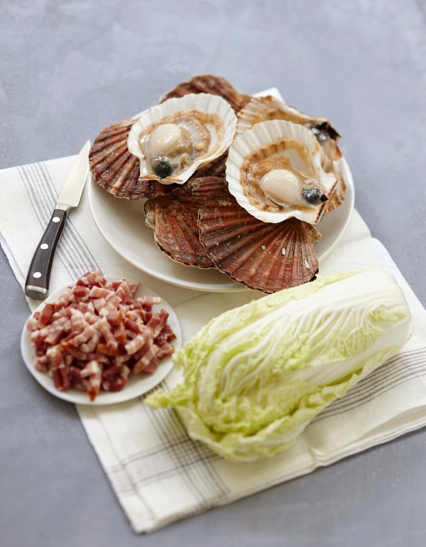 Ingredients for scallops with Chinese cabbage and diced bacon