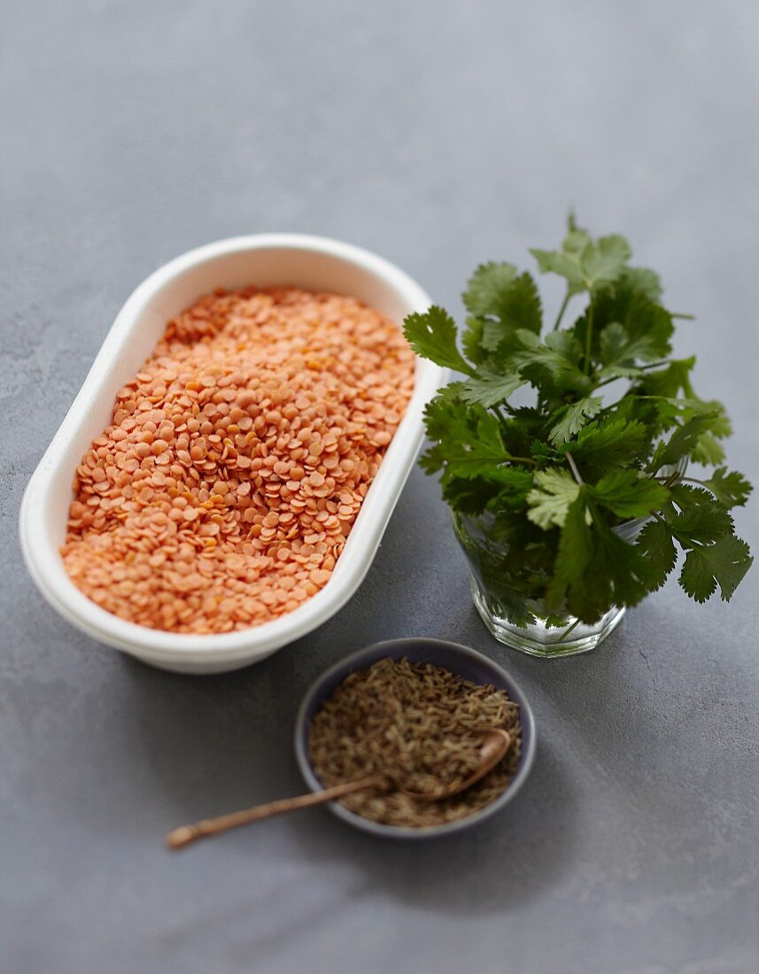 Ingredients for cumin-flavored cream of orange lentil soup with fresh cilantro