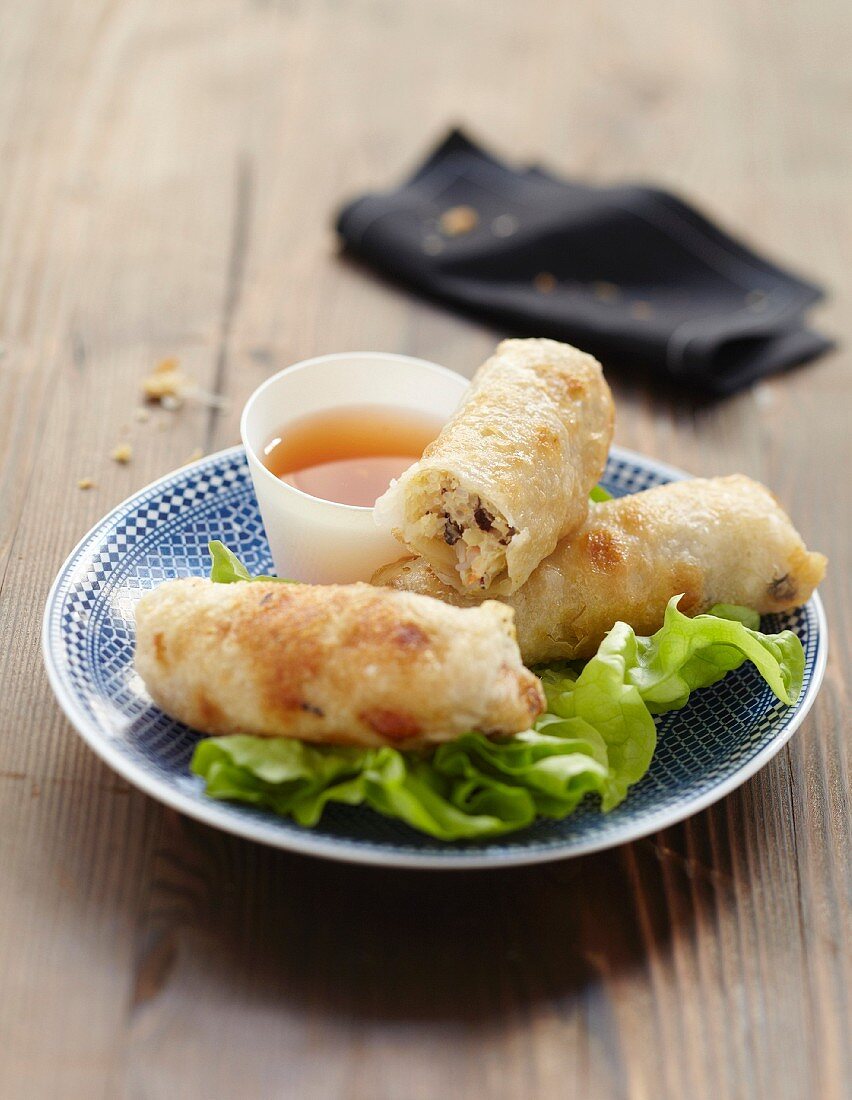 Nems (Frittierte Frühlingsrollen, Vietnam) mit Hähnchen