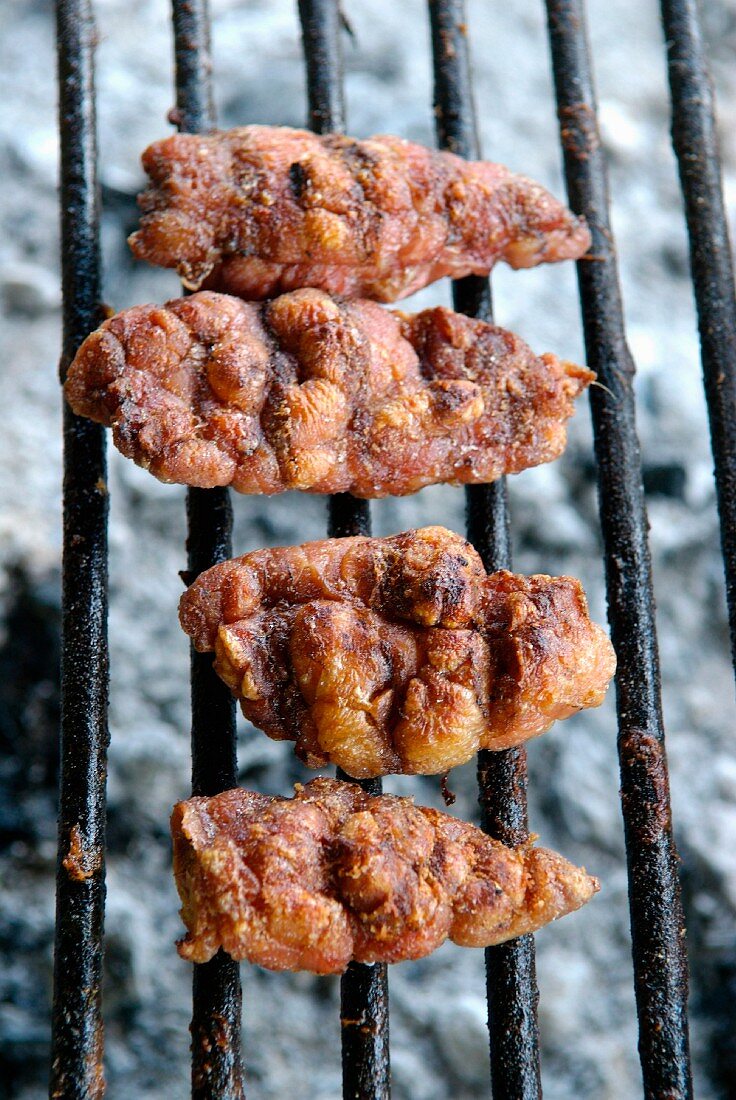 Cooking meat on a barbecue in Buenos Aires