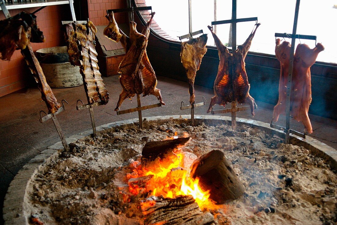 Fleisch nach traditioneller Art am offenen Feuer braten (Buenos Aires)