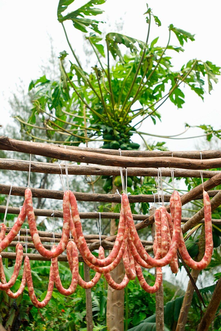 Drying Chinese sausages outdoors