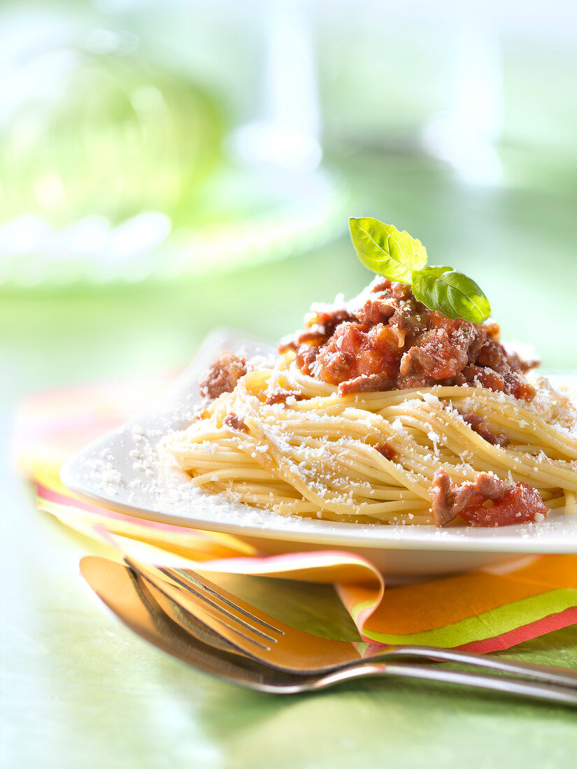 Spaghetti alla Bolognese (Nudeln mit Fleischsauce, Italien)