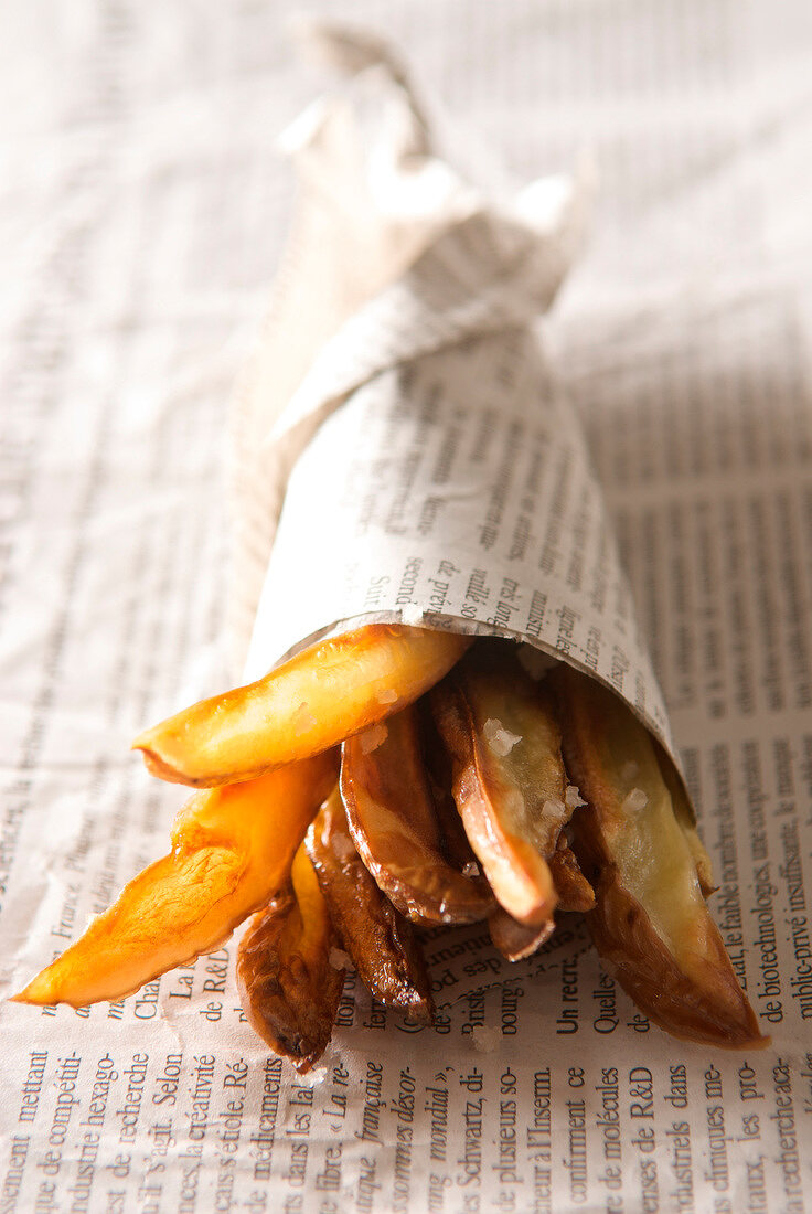 Cone of french fries with skin