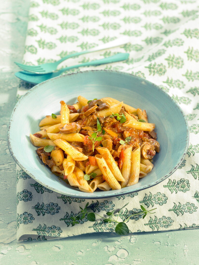 Penne with vegetable sausage stew