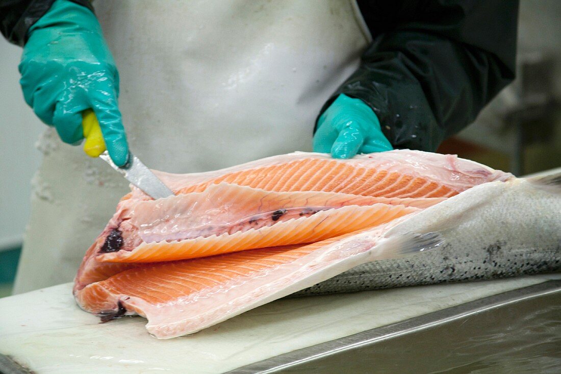 Carving an Irish salmon