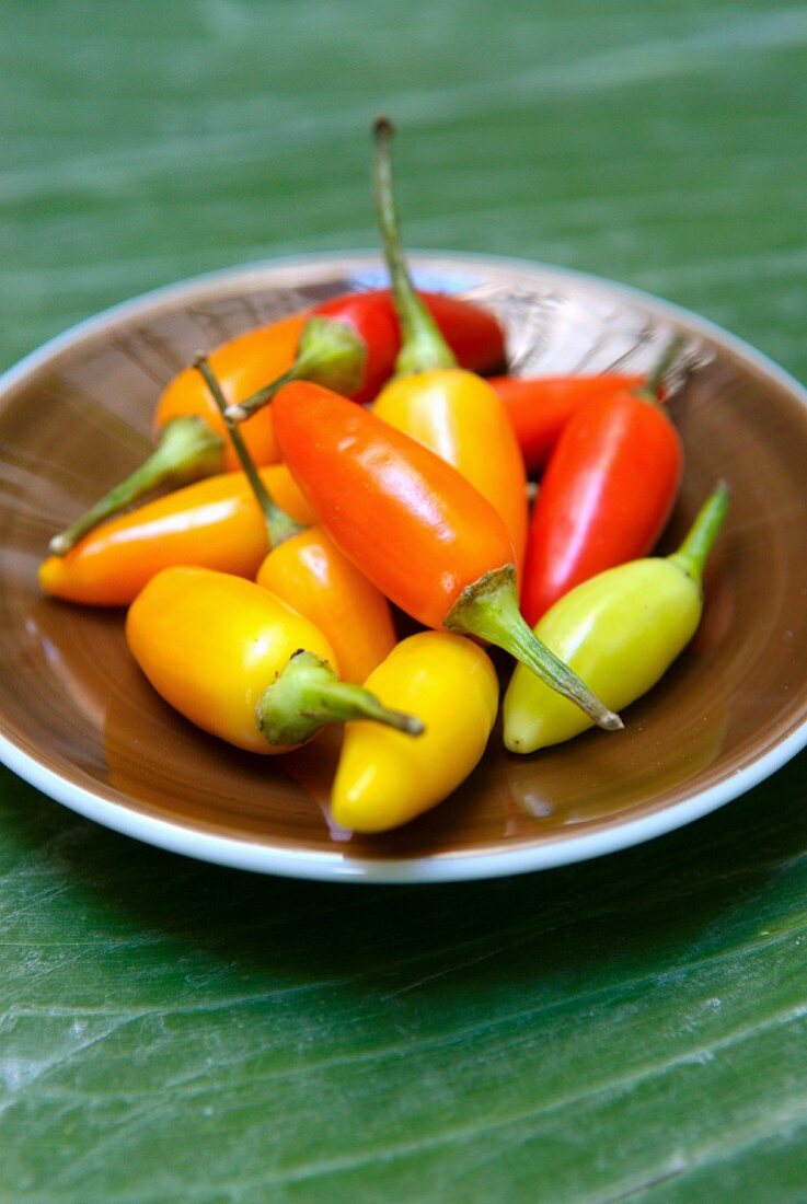 Dish of fresh colored hot peppers