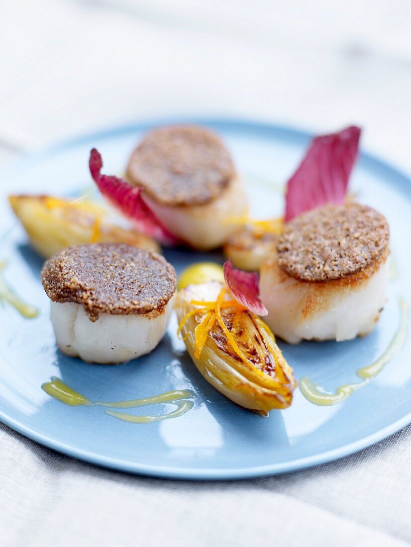 Scallops in coffee crust with braised chicory with orange