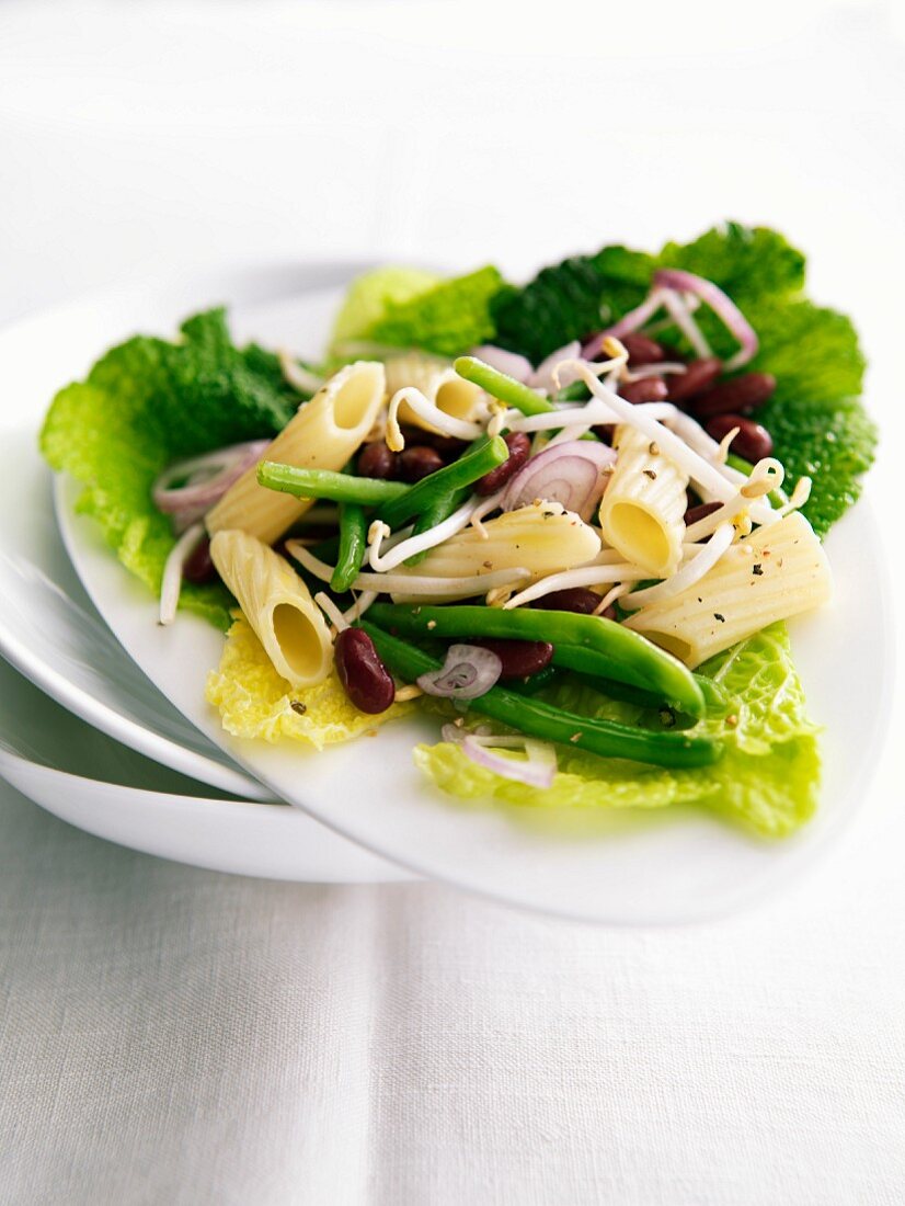 Penne, green bean, red kidney bean and beansprout salad served in cabbge leaves