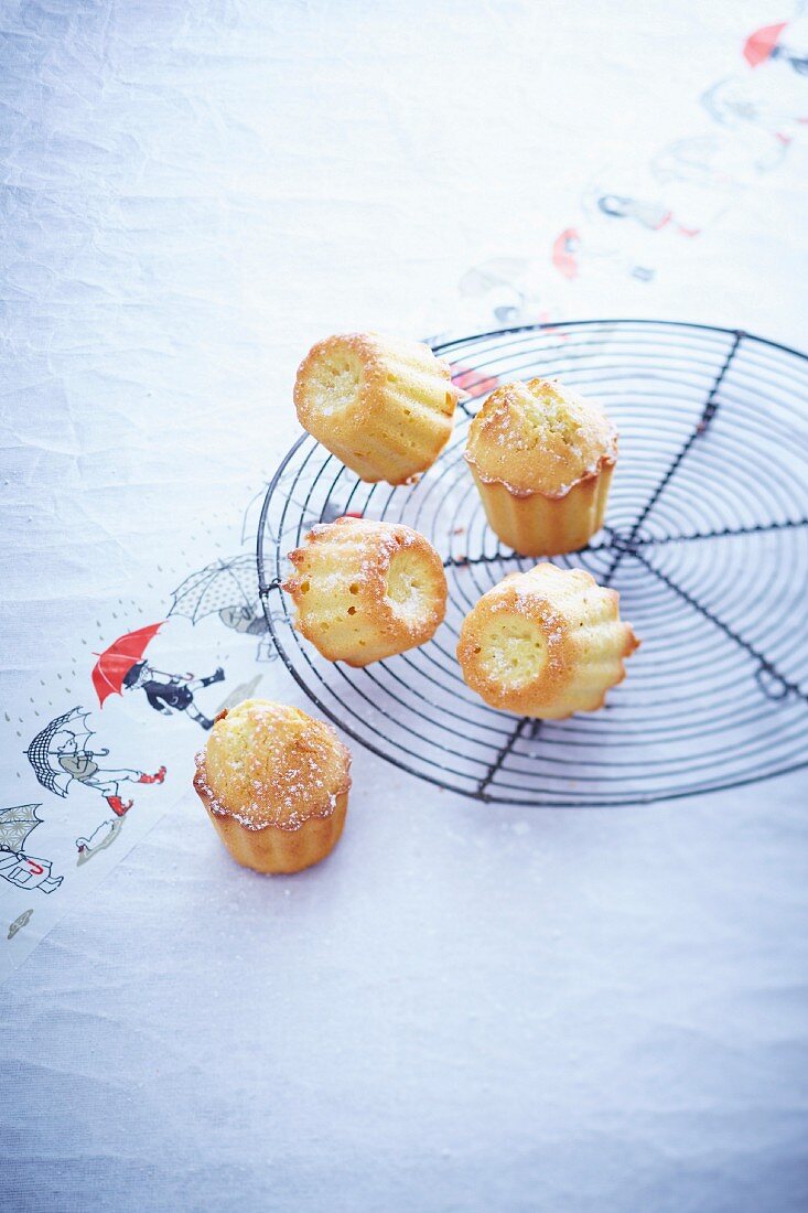 Miniküchlein mit Orangenblüten nach Art von Cannelés