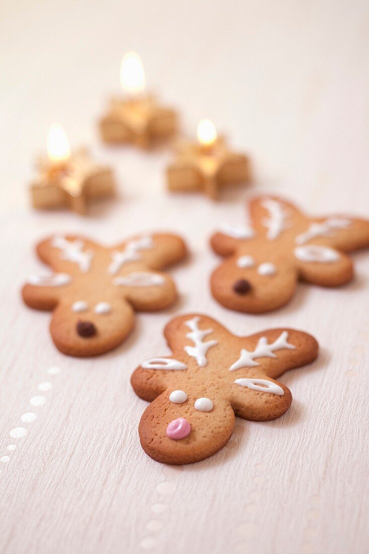 Raindeer cinnamon shortbreads