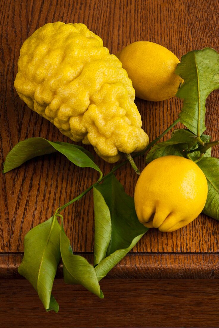 Stillleben mit Zedratzitrone und Zitronen