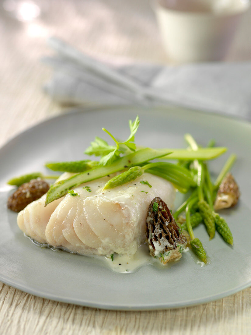 Cod with creamy Champagne sauce, morels and wild asparagus