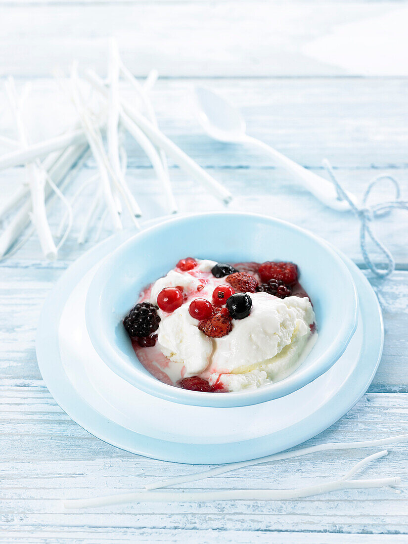 Yoghurt ice cream with fresh red fruits