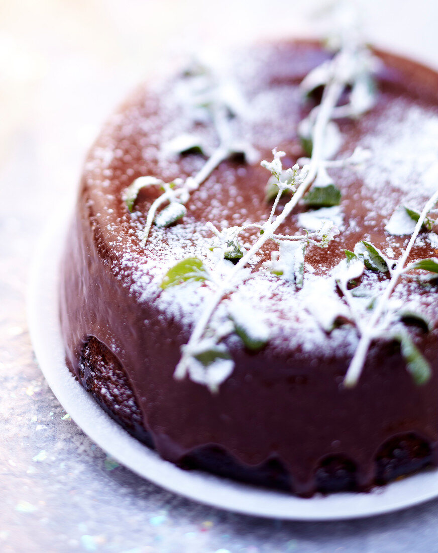 Schokoladiger Schokokuchen