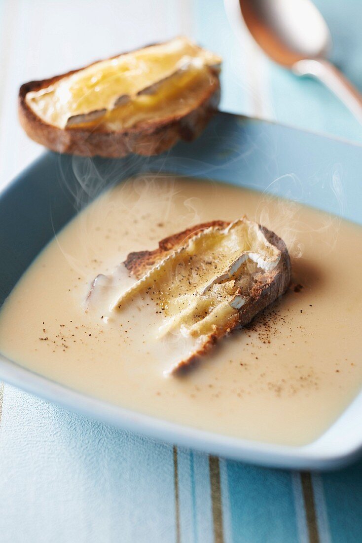 Camembert and fresh milk creamed soup