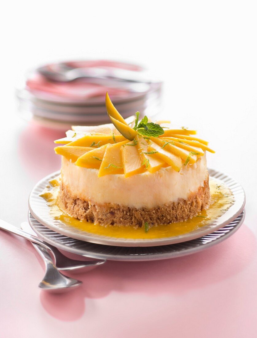 Kleiner Mango-Cheesecake