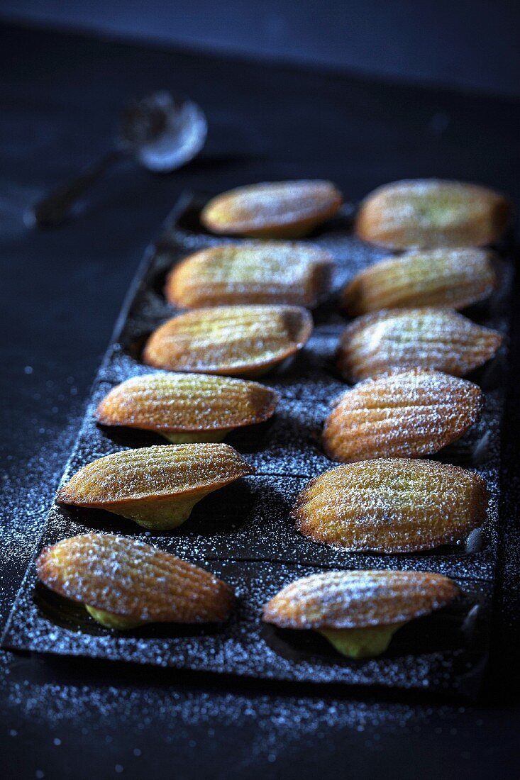 Madeleines on a baking tray sprinkled with icing sugar