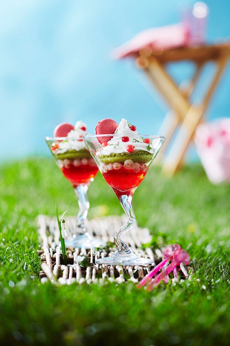Redcurrant and berry jelly,kiwi,whipped cream and macaroon desserts in the grass outdoors
