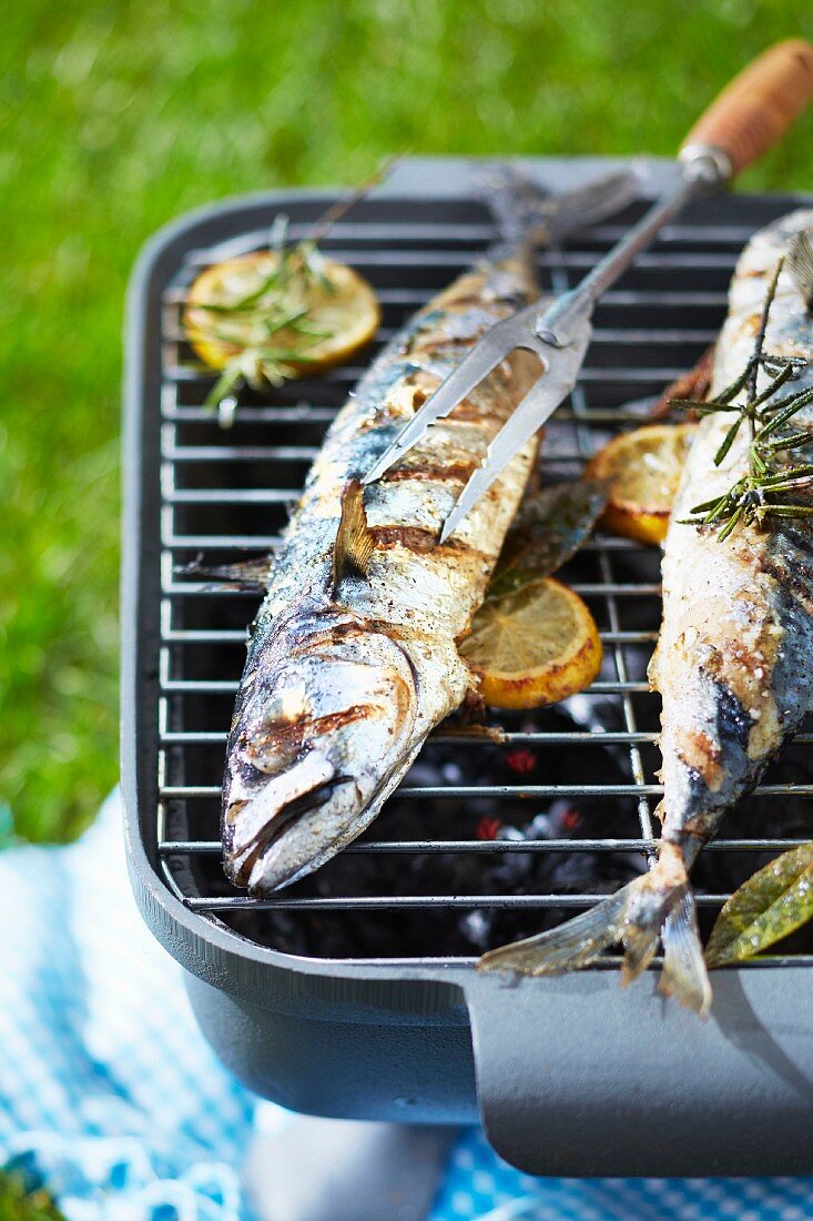 Wolfsbarsch auf dem Grill im Freien