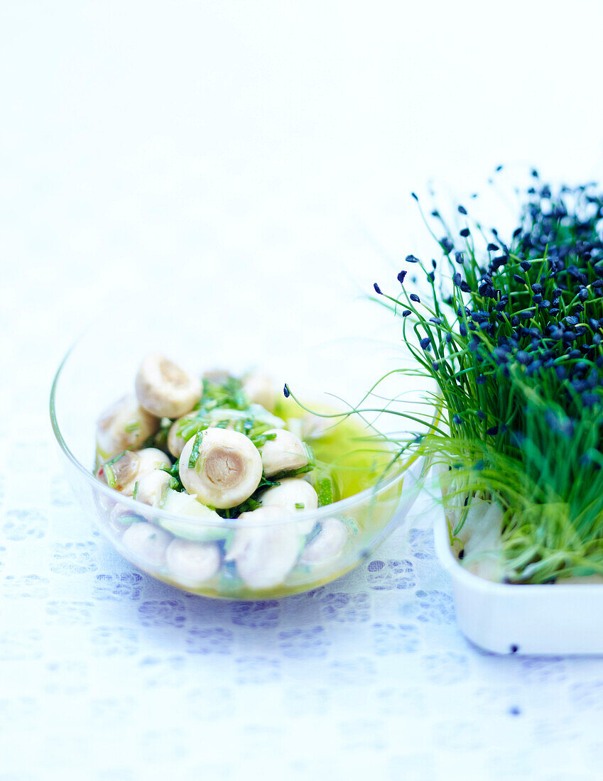 Pilzsalat mit Sprossen