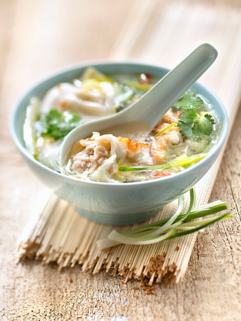 Asiatische Suppe mit Teigtaschen mit Schweinefleisch und Schnittlauch