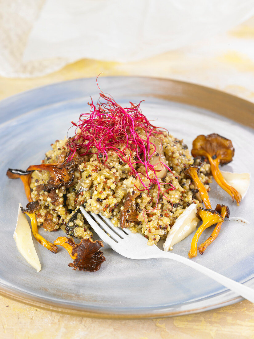 Quinoa Royal mit roten Betesprossen und Pfifferlingen
