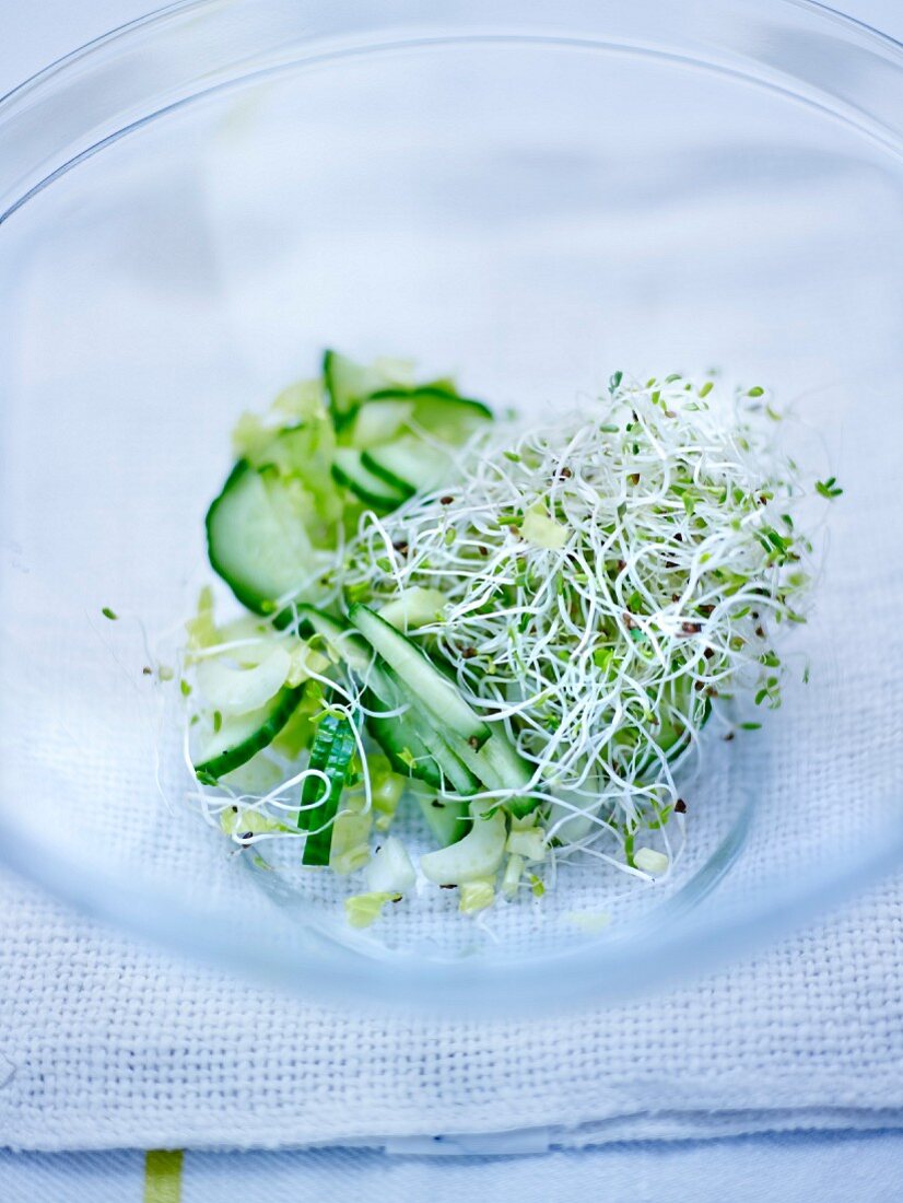 Sprout,cucumber and fennel salad