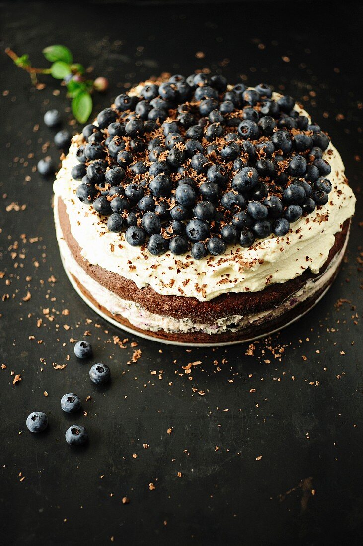Chocolate and blueberry cake