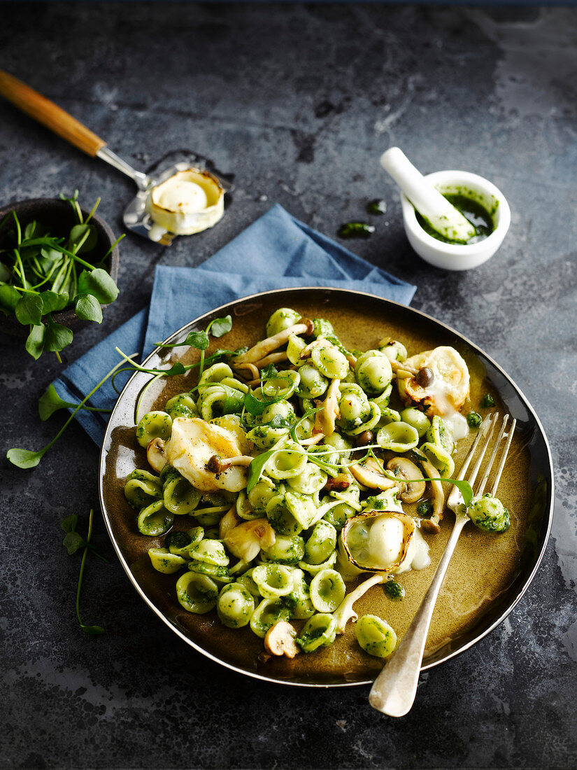 Orecchiette with purslane pesto and goat's cheese