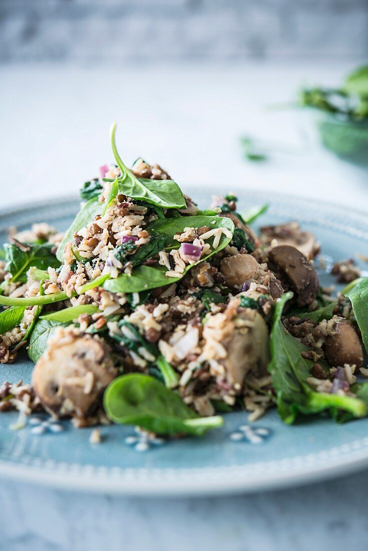 Stir-fried rice with mushrooms, lentils and spinach