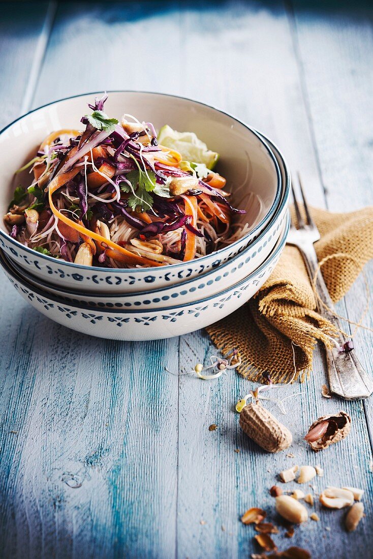 Salat mit Reisnudeln, Rotkohl, Karotten und Erdnüssen