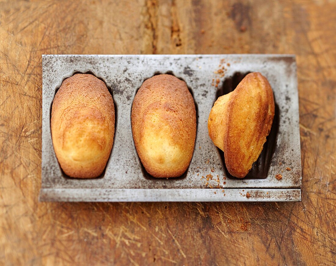Yoghurt Madeleines in a tin mould