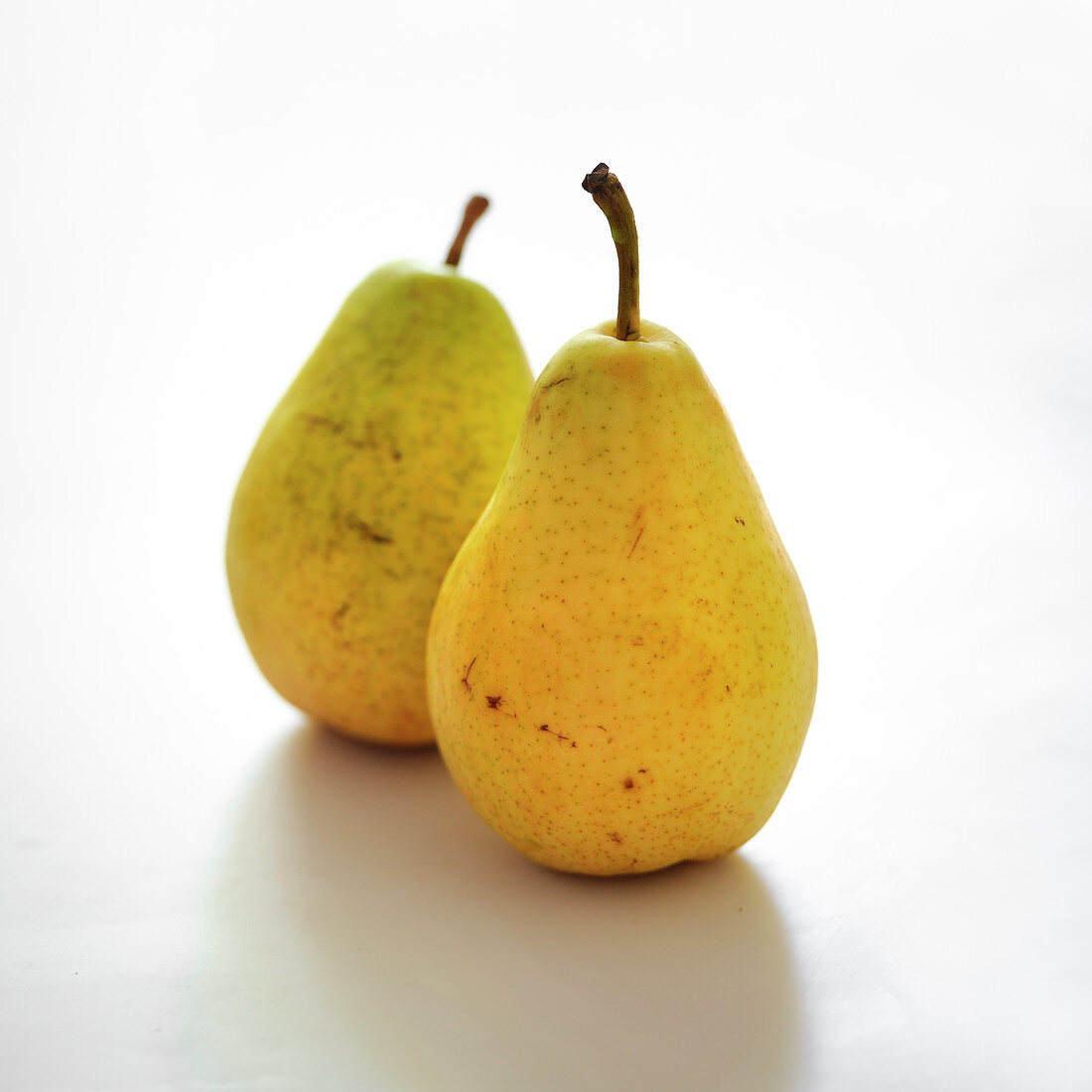 Guyot pears on a white background