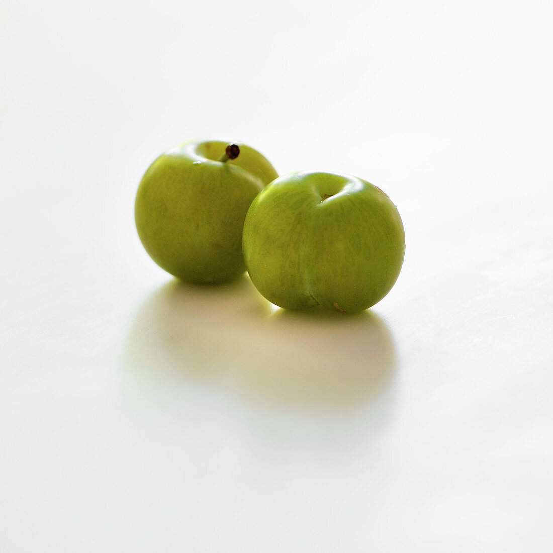 Greengages on a white background