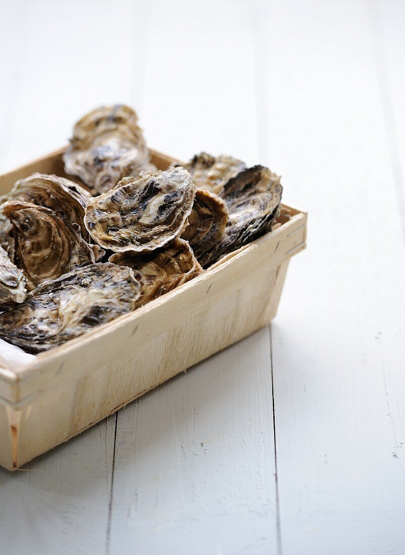 Hamper of closed oysters