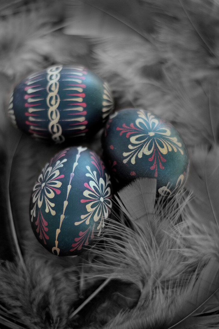 Decorated easter eggs in a feather nest