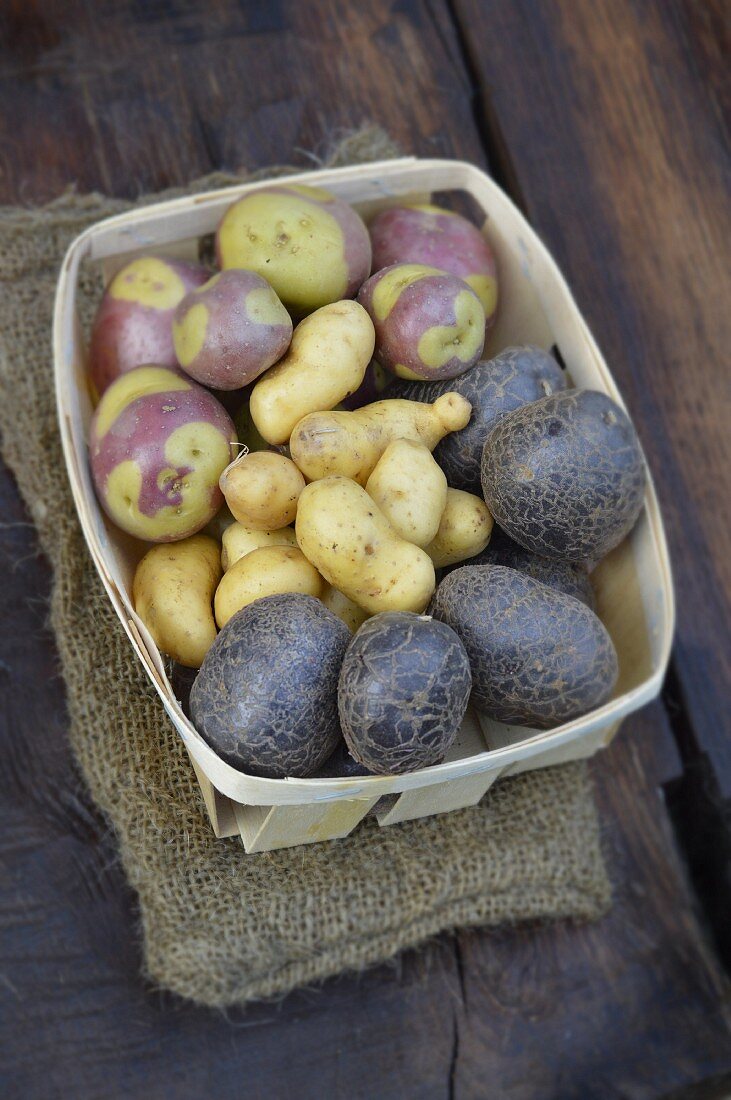 Verschiedene Urkartoffeln in einer Gemüsekiste