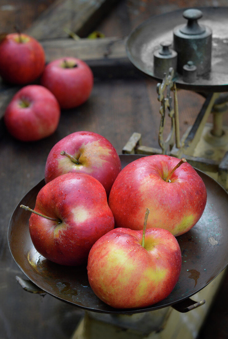 Jonagold apples on old-fashioned scales