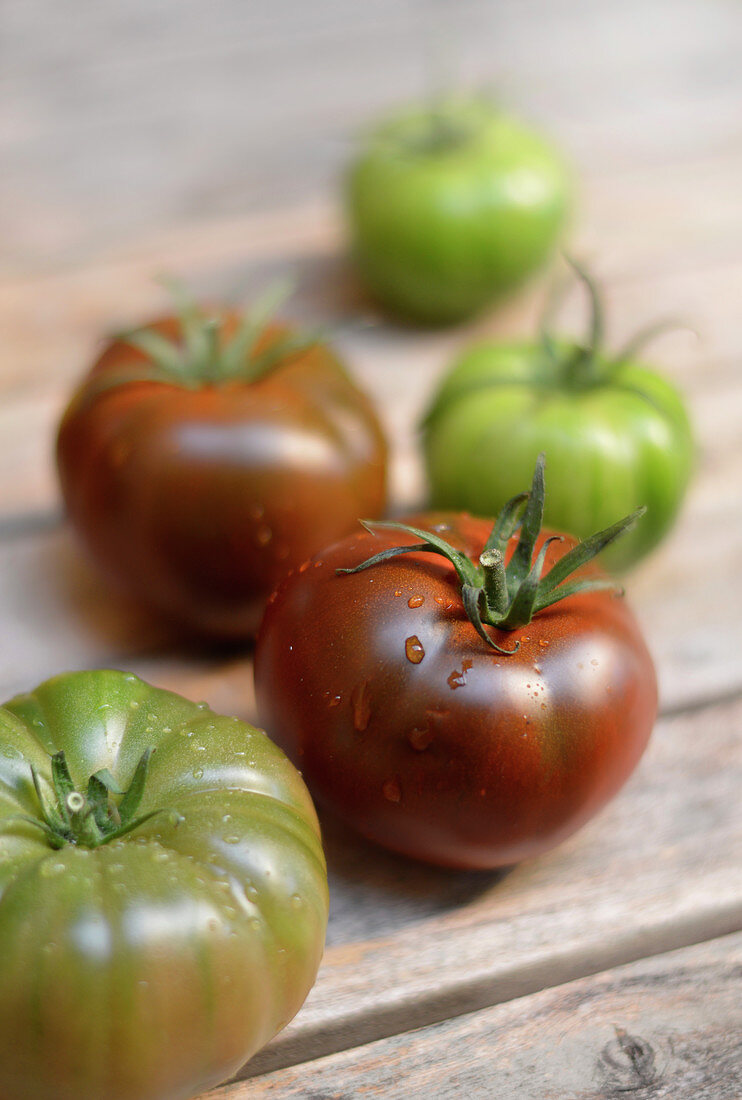 Schwarze Tomaten der Sorte Black Krim