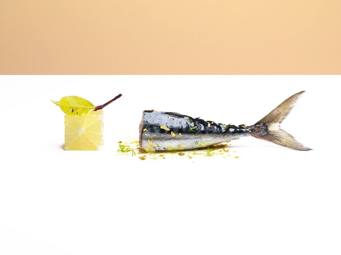 Makrelenschwanz mit Kräutern und Zitrone